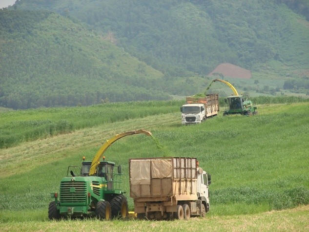Máy cắt cỏ hiện đại trong nông trại TH